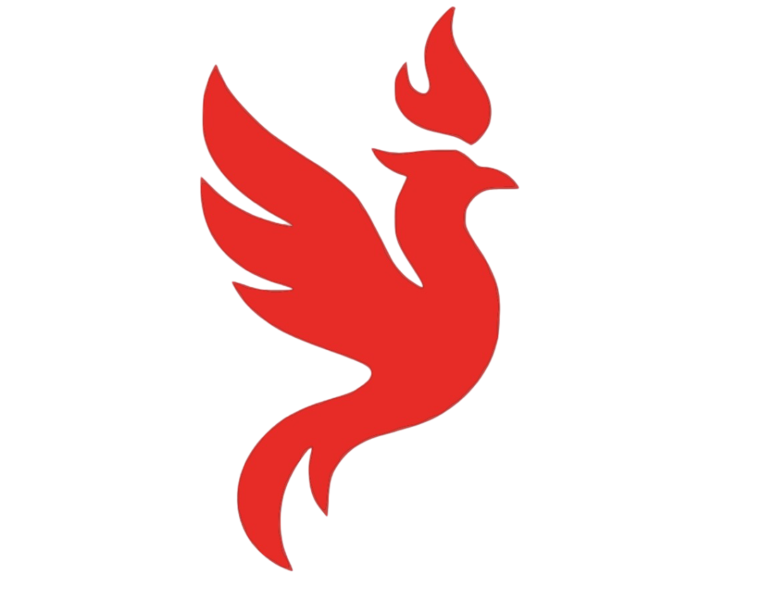 FNX — FNX EXTINTORES